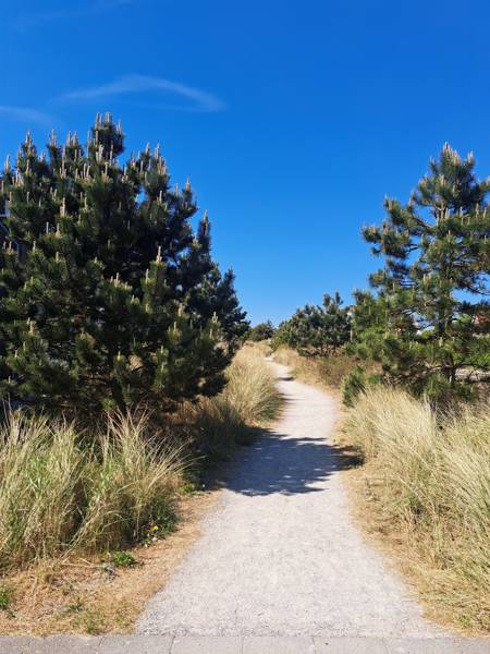 Wandelen Callantsoog